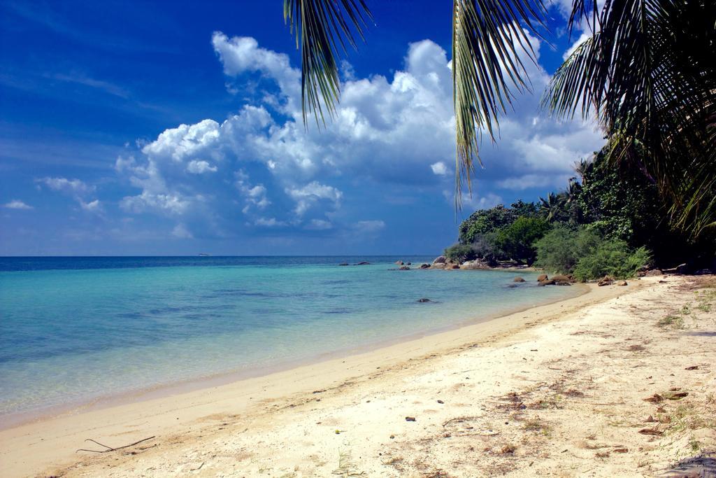 The Green Palm Пханган Номер фото